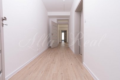 Obrázek k zakázce č.: 704416