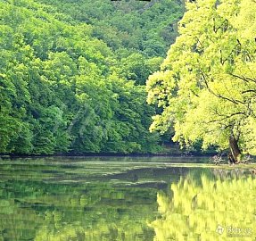 Obrázek k zakázce č.: 727271