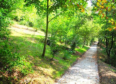 Obrázek k zakázce č.: 727271