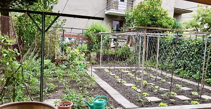 Obrázek k zakázce č.: 728421