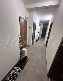 Obrázek k zakázce č.: 728791