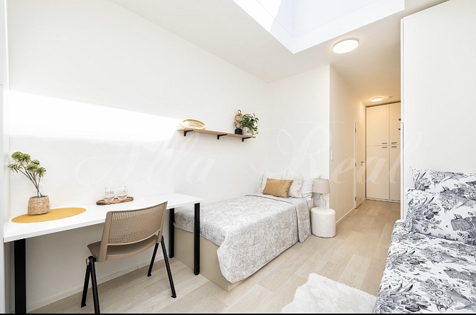 Obrázek k zakázce č.: 689386