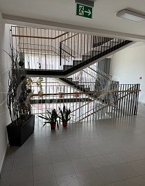 Obrázek k zakázce č.: 730871