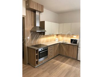 Pronájem novostavby 2+kk,ul. Francouzská, CP 40 m2, Brno, 5 min od centra