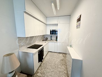 Pronájem nadstandardního bytu 2+kk, CP 45 m², Brno, ul. Kounicova s terasou 25m2