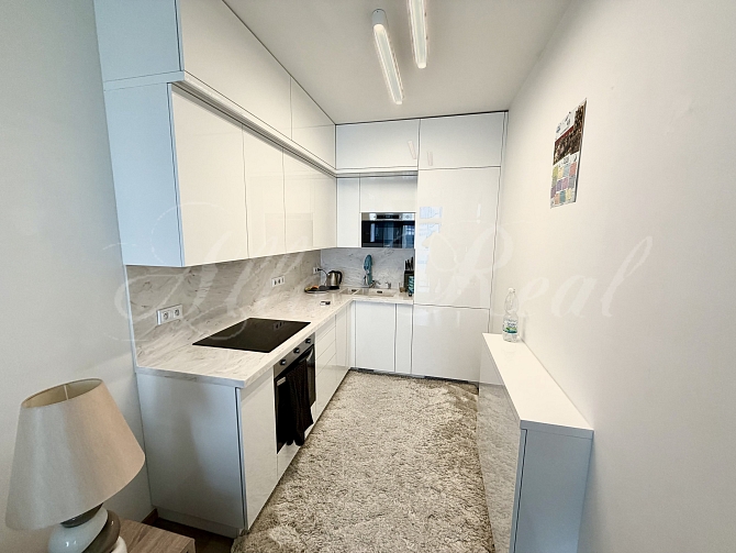 Pronájem nadstandardního bytu 2+kk, CP 45 m², Brno, ul. Kounicova s terasou 25m2