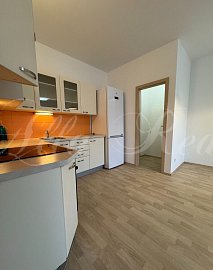 Pronájem bytu 2+kk, CP 53m2, + balkon 8m2, 2 p. ze 4. Štefánikova čtvrť - ul. Kotěrova